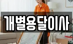 개별용달이사