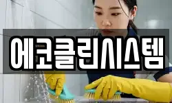 에코클린시스템