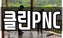 클린PNC