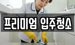 프리미엄 입주청소