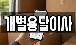 개별용달이사