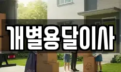 개별용달이사