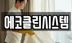 에코클린시스템
