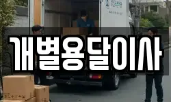 개별용달이사