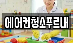 에어컨청소푸르내