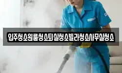 입주청소원룸청소퇴실청소빌라청소사무실청소