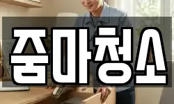 줌마청소