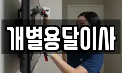 개별용달이사