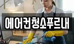 에어컨청소푸르내