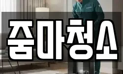 줌마청소