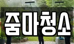 줌마청소