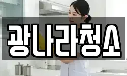 광나라청소