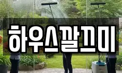 하우스깔끄미
