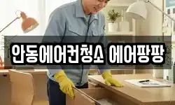 안동에어컨청소 에어팡팡