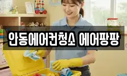 안동에어컨청소 에어팡팡