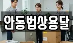 안동법상용달