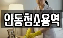 안동청소용역