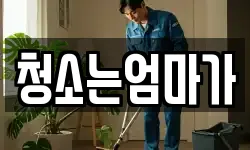 청소는엄마가