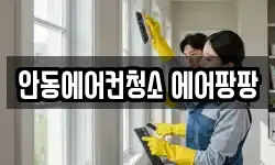 안동에어컨청소 에어팡팡