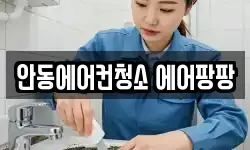 안동에어컨청소 에어팡팡