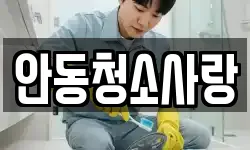 안동청소사랑