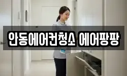 안동에어컨청소 에어팡팡