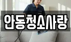 안동청소사랑