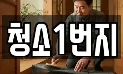 청소1번지