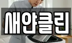 새얀클린
