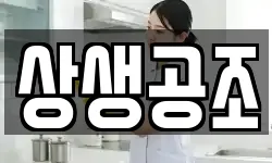 상생공조