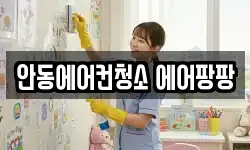 안동에어컨청소 에어팡팡