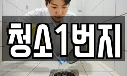 청소1번지