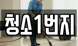 청소1번지