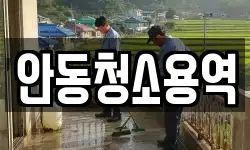 안동청소용역