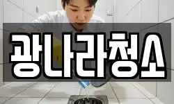 광나라청소