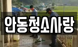안동청소사랑