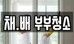 채.배 부부청소