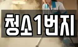 청소1번지