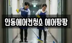 안동에어컨청소 에어팡팡