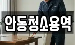안동청소용역