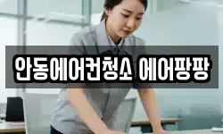 안동에어컨청소 에어팡팡