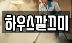 하우스깔끄미