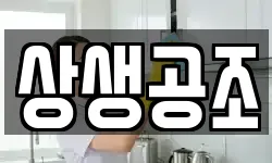 상생공조