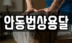 안동법상용달