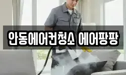 안동에어컨청소 에어팡팡