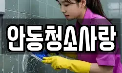 안동청소사랑
