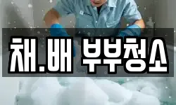 채.배 부부청소