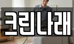 크린나래