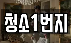 청소1번지