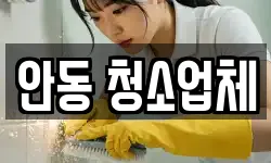 경상북도 안동시 임하면 청소,입주청소,사무실청소,에어컨청소